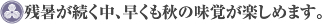 残暑が続く中、早くも秋の味覚が楽しめます。